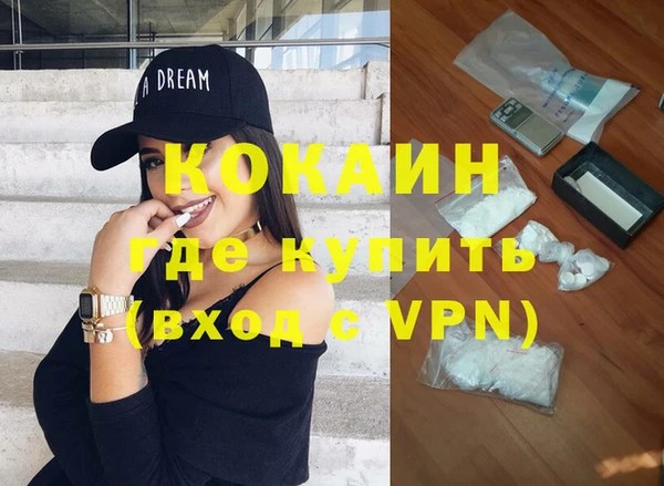 сатива Инта