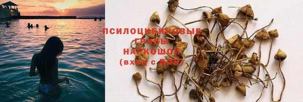 ECSTASY Инсар