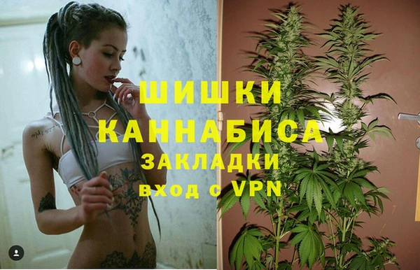 мдма Елизово