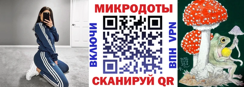 Псилоцибиновые грибы Psilocybine cubensis  блэк спрут зеркало  Гагарин 